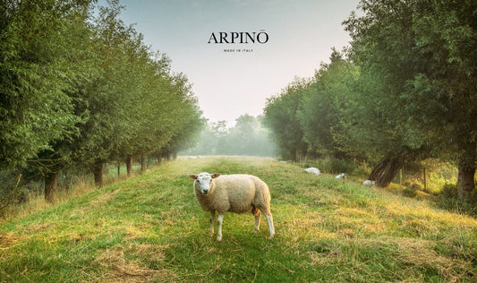 Toronto-Based Luxury Brand Arpinō Looks to Growth